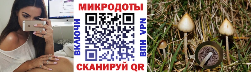 Псилоцибиновые грибы мухоморы  что такое   Темрюк 